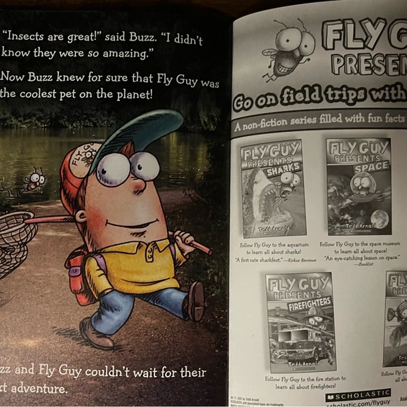 Fly Guy Presents: Insects (Scholastic Reader, Level 2) by Tedd Arnold 2015 - Picture 5 of 6